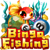 Câu Cá Bingo - 23Win Com casino